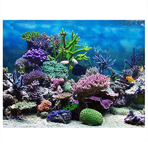 SALUTUYA Aquarium Poster, PVC-Kleber Blau Unterwasser Hintergrund Aquarium Korallen Fotografie Hintergrund Wasserdicht Aquarium Poster für Aquarium Aquarium Dekoration(61 * 41cm) von SALUTUYA