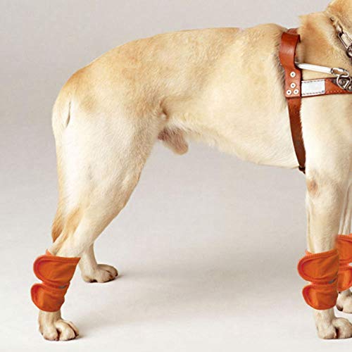 SALUTUYA Hundebeinstütze, 2 Stück, Universal für Katzen und Hunde, Zubehör zur Wiederherstellung von Hunden(Orange, L) von SALUTUYA