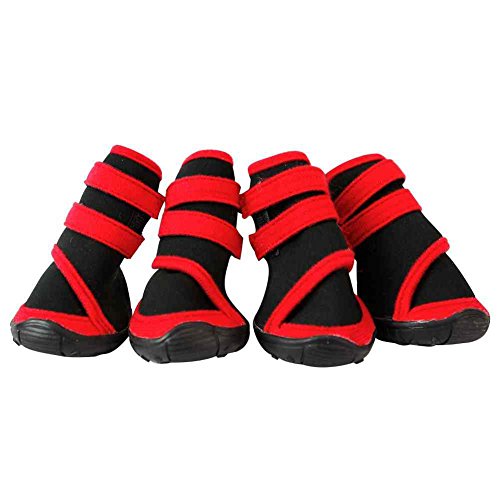 SAMGU Hundeschuhe Dog Boots Geeignet für Pfotenschutz Schuhe Hunde Schuhe Farbe rot Size XX-Large von SAMGU