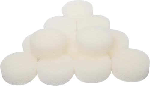 SANLILI Filterpatronen für Eheim 2618060 Biopower 160/200 /240, Cartridges Aquaball 45/2206(12 Stück Neu) von SANLILI