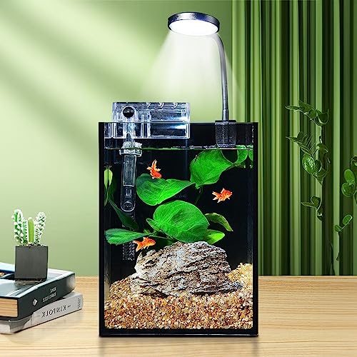 SANOSY Aquarium-Set für Kinder, klein, eisenarmes Glas, Anfänger-Fischschale mit LED-Licht und Wasserpumpe für Kinder, mit Zubehör, selbstreinigender Filter von SANOSY