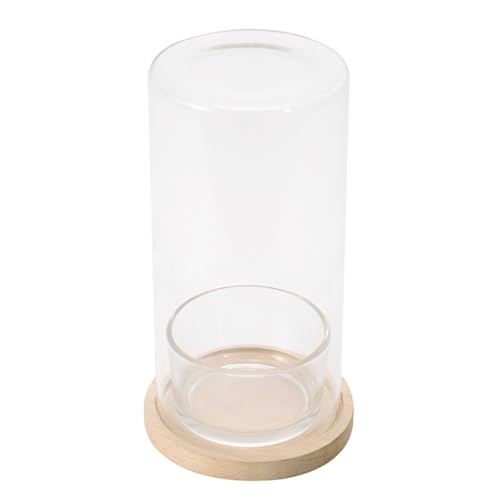 Glas Hydrokultur Terrarium Flaschenpflanzen Glasflaschentöpfe Bringen Die Natur In Arbeitsbereiche Für Büro Oder Heimdekorationen von SANRLO