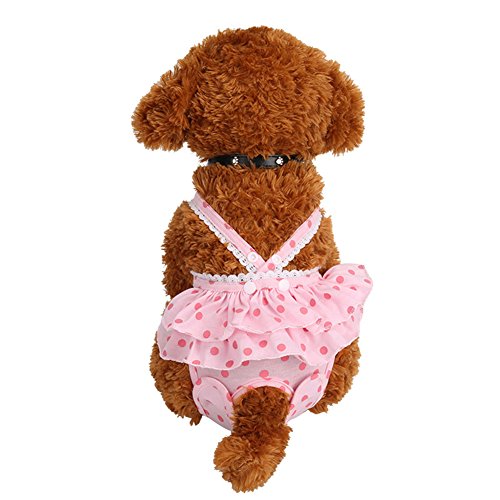 Pudel Hund Welpe Physiologische Sanitärhose Unterwäsche Haustier Pink S von SANWOOD