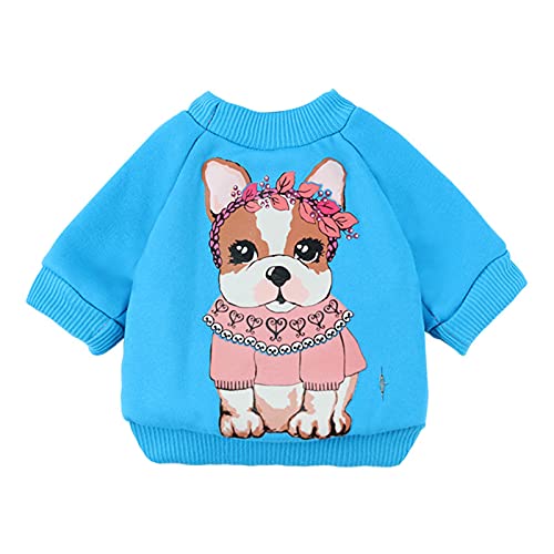 SANWOOD Hunde-Sweatshirt für Welpen, Winter, warme Kleidung, Haustier-Kleidung, Cartoon-Muster, hautfreundlich, niedliches Haustier-Sweatshirt, Kostüm für den Winter, blau, Größe XXL von SANWOOD