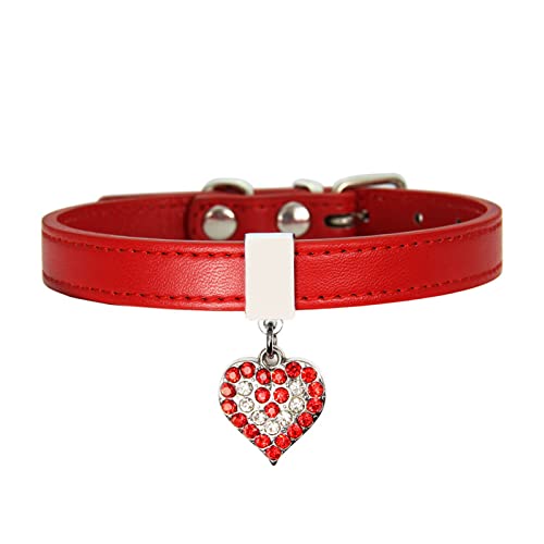 Sanwood Hundehalsband für Haustiere, mit Halsband, Größe XS, Rot von SANWOOD