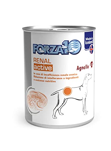 Forza10 RENAL ACTIVE 390 g Lamm von SANYPET