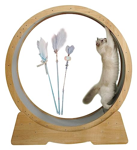 SAPDMBDBBSH Laufrad Für Katzen, Katzenlaufrad Laufrad, Robustes Laufrad for Katzen – Katzenstab im Lieferumfang enthalten, multifunktionales Haustierspielzeug/Katzenkratzbaum von SAPDMBDBBSH