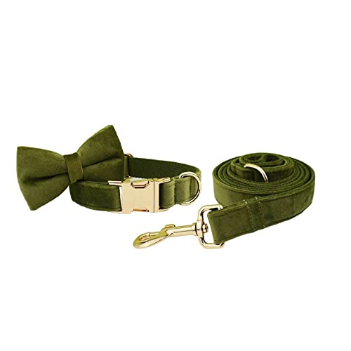 Gravierter Haustiername Und Telefonnummer Hundehalsbänder Für The Bulldog Custom Puppy Collar,Schleifenhalsband-Leine-Set,L von SARUEI