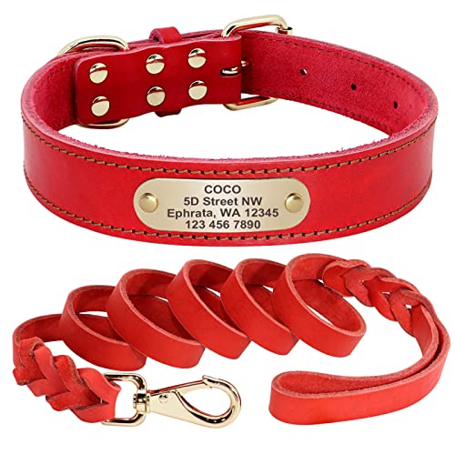 Hundehalsband Leine Personalisierte Pet ID Tag Halsbänder Für Mittelgroße Hunde Gravierte Halsbänder Pitbull Perro,Rot,M von SARUEI