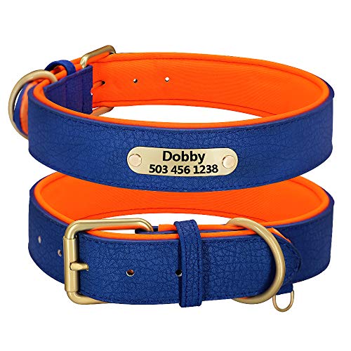 SARUEL Benutzerdefinierte Personalisierte Hundehalsband Haustier Welpen ID Tags Halsband Gepolstert Für Kleine Mittelgroße Hunde Pitbull Bulldogge,Blau,XL von SARUEL