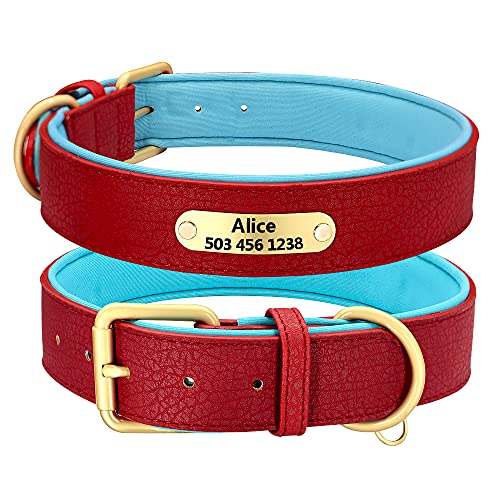 SARUEL Benutzerdefinierte Personalisierte Hundehalsband Haustier Welpen ID Tags Halsband Gepolstert Für Kleine Mittelgroße Hunde Pitbull Bulldogge,Rot,XL von SARUEL