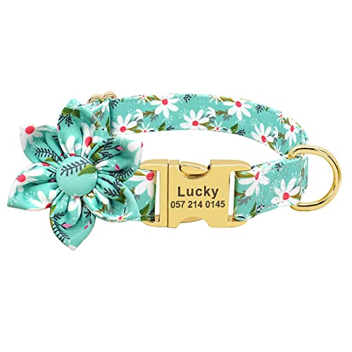 SARUEL Benutzerdefiniertes Hundehalsband Mit Blumendruck Aus Nylon Für Haustier-Hundehalsbänder Aus Blei Personalisierte Welpenhalsbänder Für Kleine,Mittelgroße Und Große Hunde,153 Grün,S SARUEL Benutzerdefiniertes Hundehalsband Mit Blumendruck Aus Nylon Für Haustier-Hundehalsbänder Aus Blei Personalisierte Welpenhalsbänder Für Kleine,Mittelgroße Und Große Hunde,153 Grün,S von SARUEL