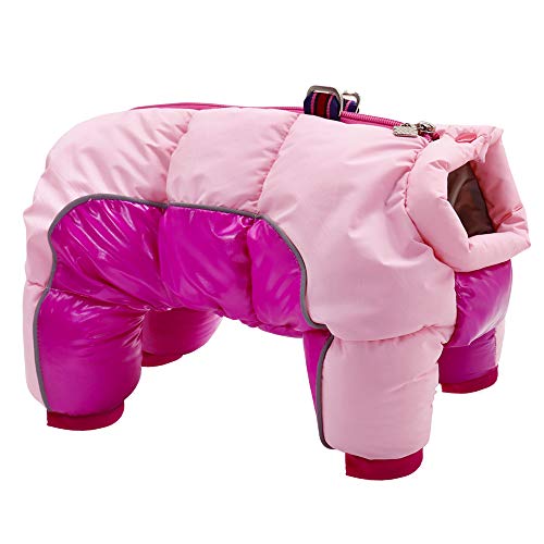 SARUEL Dicke Winter-Hundekleidung,Warme Baumwolle,Haustiermantel,Jacke,Wasserdicht,Für Kleine Hunde,Haustiere,Kleidung,Kostüm Für Französische Bulldogge,D,16 von SARUEL