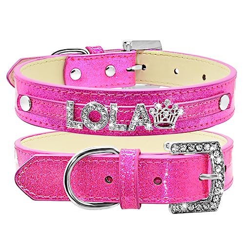 SARUEL Hundehalsband Mit Individuellem Namen Für Katzen Und Hunde Mit Personalisiertem Namen Für Kleine,Mittelgroße Und Große Hunde,Rosenrot,S SARUEL Hundehalsband Mit Individuellem Namen Für Katzen Und Hunde Mit Personalisiertem Namen Für Kleine,Mittelgroße Und Große Hunde,Rosenrot,S von SARUEL