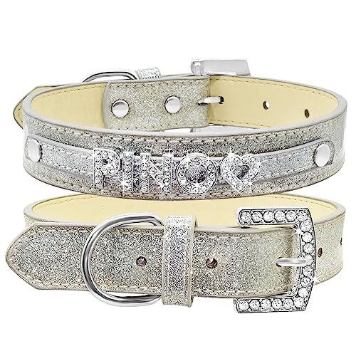 SARUEL Hundehalsband Mit Individuellem Namen Für Katzen Und Hunde Mit Personalisiertem Namen Für Kleine,Mittelgroße Und Große Hunde,Silber,S SARUEL Hundehalsband Mit Individuellem Namen Für Katzen Und Hunde Mit Personalisiertem Namen Für Kleine,Mittelgroße Und Große Hunde,Silber,S von SARUEL