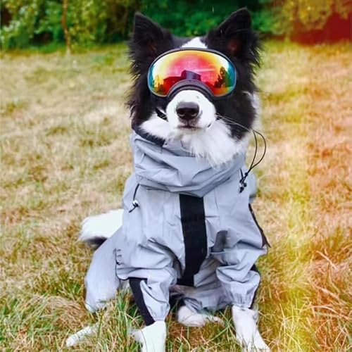 SARUEL Hunderegenmantel Taktische Reflektierende Ladung Hundekleidung Mittelgroßer Großer Hund Wasserdichter Mantel Outdoor-Regenmantel Heimtierbedarf,Silber,XL SARUEL Hunderegenmantel Taktische Reflektierende Ladung Hundekleidung Mittelgroßer Großer Hund Wasserdichter Mantel Outdoor-Regenmantel Heimtierbedarf,Silber,XL von SARUEL