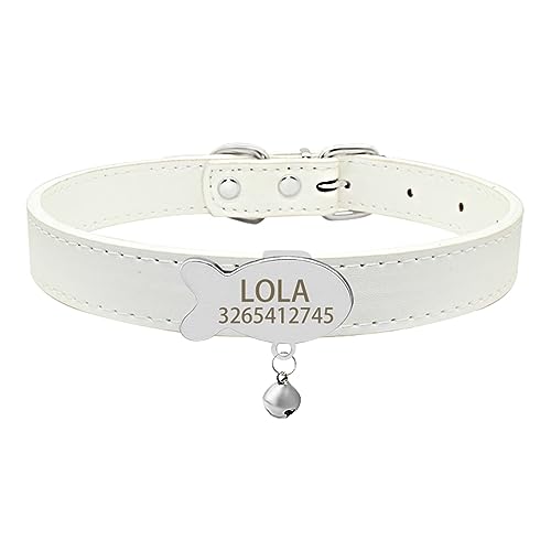 SARUEL Katzenhalsband Glocke Namensschild Katzenhalsband Personalisierte ID Namensschild Katzenhalsband Haustier Kätzchen Katzenhalsband Halskette,Silber Weiss,S (26cm-32cm) von SARUEL