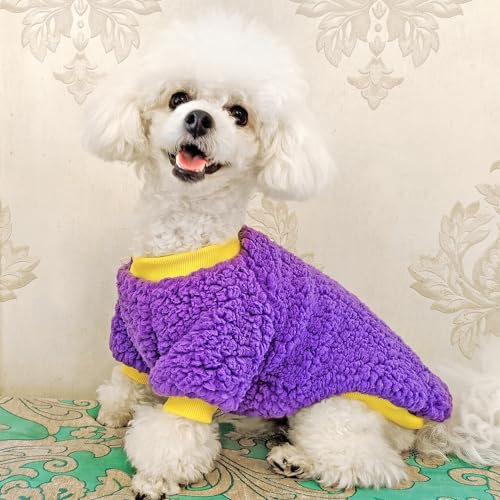 SARUEL Katzenkleidung,Mantel,Jacke,Winter,Welpenkleidung Für Kätzchen,Hunde,Chihuahua,Haustierkleidung Für Kleine,Mittelgroße Hunde,Katzen,Yorkie,Lila,L SARUEL Katzenkleidung,Mantel,Jacke,Winter,Welpenkleidung Für Kätzchen,Hunde,Chihuahua,Haustierkleidung Für Kleine,Mittelgroße Hunde,Katzen,Yorkie,Lila,L von SARUEL