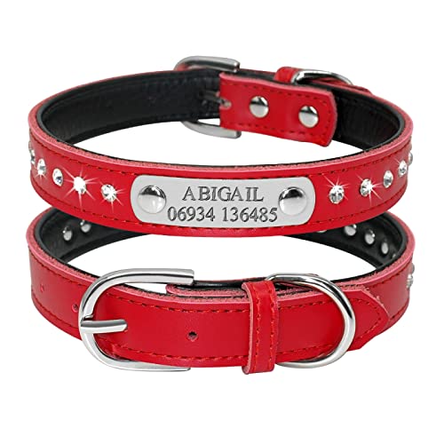 SARUEL Personalisierte Hundehalsbänder,Verstellbar,Gepolstert,Personalisiertes Hunde-ID-Halsband Mit Gravur Für Kleine,Mittelgroße Hunde Und Katzen,Rot,S von SARUEL