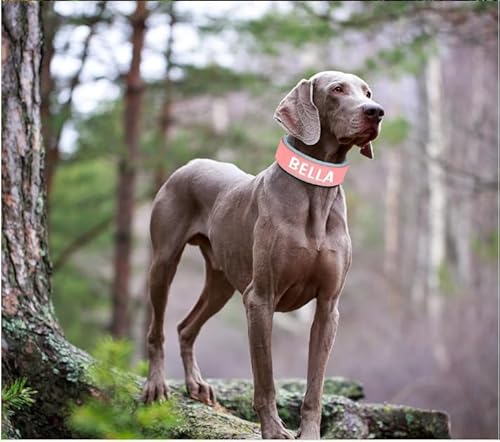 SARUEL Personalisierte Hundehalsband-Halskette,Breit Gepolstert,Haustier-ID-Halsbänder,Hunde-Namenshalsbänder Für Kleine,Mittelgroße Und Große Hunde,Rosa,L SARUEL Personalisierte Hundehalsband-Halskette,Breit Gepolstert,Haustier-ID-Halsbänder,Hunde-Namenshalsbänder Für Kleine,Mittelgroße Und Große Hunde,Rosa,L von SARUEL