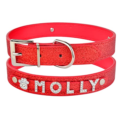SARUEL Personalisierte Hundehalsbandleine Aus Nylon Mit Blumenmuster. Personalisiertes Welpenhalsband Für Kleine,Mittelgroße Und Große Hunde,Grün,S SARUEL Personalisierte Hundehalsbandleine Aus Nylon Mit Blumenmuster. Personalisiertes Welpenhalsband Für Kleine,Mittelgroße Und Große Hunde,Grün,S von SARUEL