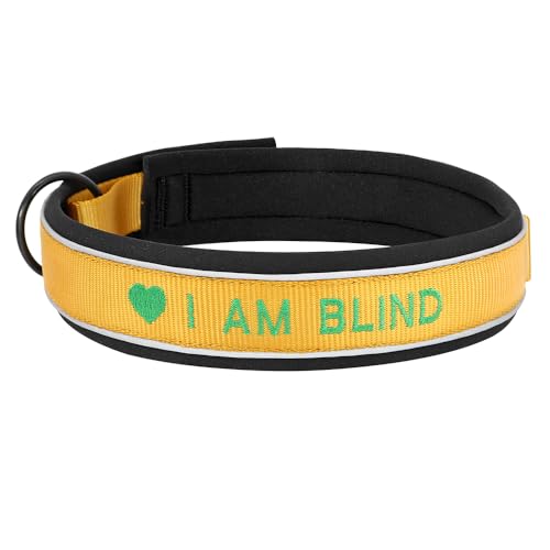 SARUEL Personalisierte Nylon-Hundehalsband-ID-Namenszubehör-Haustier-Welpenhalsbänder Für Kleine,Mittelgroße Und Große Hunde Perros,Gold,XL von SARUEL