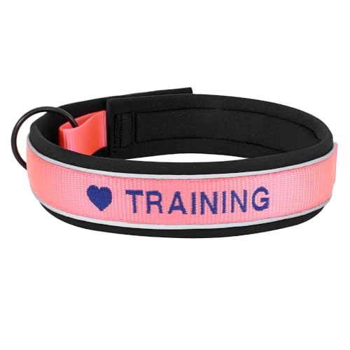 SARUEL Personalisierte Nylon-Hundehalsband-ID-Namenszubehör-Haustier-Welpenhalsbänder Für Kleine,Mittelgroße Und Große Hunde Perros,Rosa,XL SARUEL Personalisierte Nylon-Hundehalsband-ID-Namenszubehör-Haustier-Welpenhalsbänder Für Kleine,Mittelgroße Und Große Hunde Perros,Rosa,XL von SARUEL