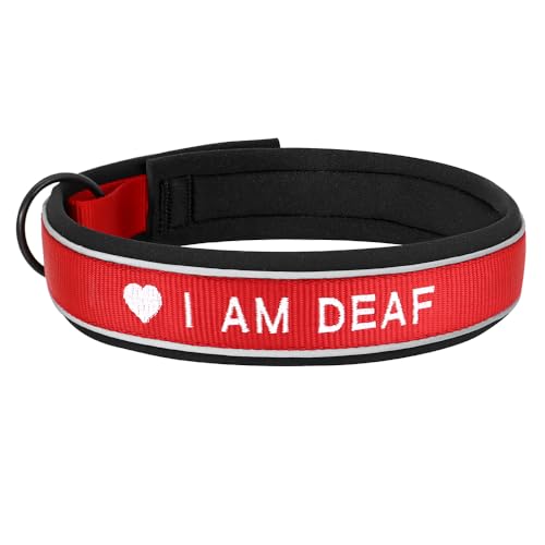 SARUEL Personalisierte Nylon-Hundehalsband-ID-Namenszubehör-Haustier-Welpenhalsbänder Für Kleine,Mittelgroße Und Große Hunde Perros,Rot,XL SARUEL Personalisierte Nylon-Hundehalsband-ID-Namenszubehör-Haustier-Welpenhalsbänder Für Kleine,Mittelgroße Und Große Hunde Perros,Rot,XL von SARUEL