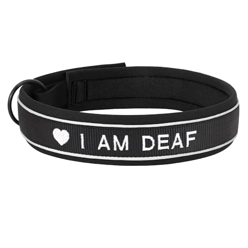 SARUEL Personalisierte Nylon-Hundehalsband-ID-Namenszubehör-Haustier-Welpenhalsbänder Für Kleine,Mittelgroße Und Große Hunde Perros,Schwarz,M SARUEL Personalisierte Nylon-Hundehalsband-ID-Namenszubehör-Haustier-Welpenhalsbänder Für Kleine,Mittelgroße Und Große Hunde Perros,Schwarz,M von SARUEL