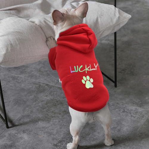 SARUEL Personalisierter Hunde-Kapuzenpullover,Hunde-Katzen-Kleidung,Weiche Baumwolle,Kosename-Kleidung Für Kleine,Mittelgroße Hunde Und Katzen,Rot,2XL von SARUEL