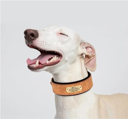 SARUEL Personalisiertes Breites Hundehalsband,Personalisierte Hundemarkenhalsbänder,Gepolstertes Haustierhalsband Für Kleine,Mittelgroße Und Große Hunde,Pitbull,Buldog,braun,XL von SARUEL