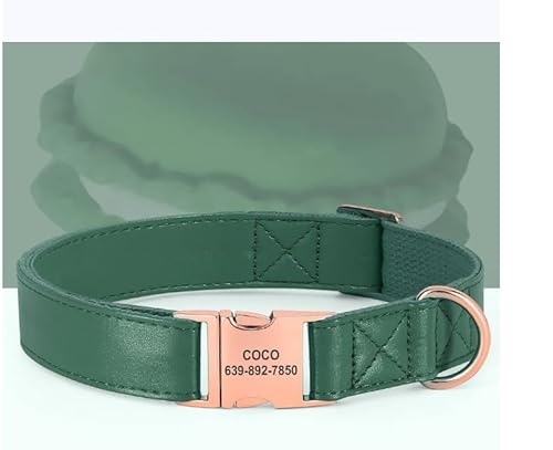 SARUEL Personalisiertes Hunde-ID-Halsband,Personalisiertes Leder-Hundehalsband,Haustier-Schnallenhalsband Für Kleine,Mittelgroße Und Große Hunde,Pitbull,Grün,L SARUEL Personalisiertes Hunde-ID-Halsband,Personalisiertes Leder-Hundehalsband,Haustier-Schnallenhalsband Für Kleine,Mittelgroße Und Große Hunde,Pitbull,Grün,L von SARUEL