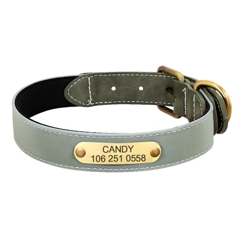 SARUEL Personalisiertes Hundehalsband,Haustierhalsband,ID-Tag,Namensschild Für Kleine,Mittelgroße Und Große Hundehalsbänder,Grün,2XL von SARUEL