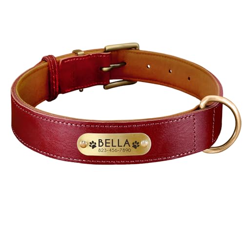SARUEL Personalisiertes Hundehalsband,Hunde-ID-Halsbänder,Namensschild Für Kleine,Mittelgroße Und Große Hunde,Pitbull-Pfotenabdruck,Rot,XL 43–55 cm von SARUEL