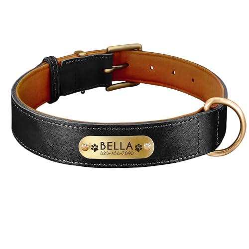SARUEL Personalisiertes Hundehalsband,Hunde-ID-Halsbänder,Namensschild Für Kleine,Mittelgroße Und Große Hunde,Pitbull-Pfotenabdruck,Schwarz,XL 43–55 cm SARUEL Personalisiertes Hundehalsband,Hunde-ID-Halsbänder,Namensschild Für Kleine,Mittelgroße Und Große Hunde,Pitbull-Pfotenabdruck,Schwarz,XL 43–55 cm von SARUEL