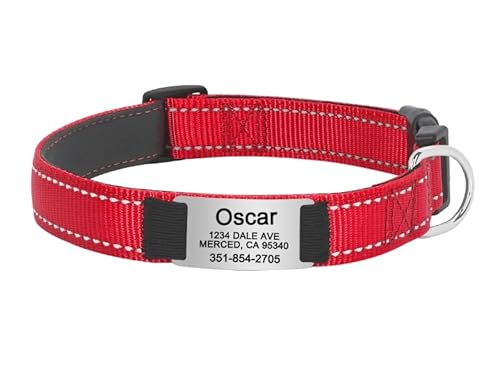 SARUEL Personalisiertes Hundehalsband,Individuelle ID-Halsbänder,Langlebiges Nylon-Welpenhalsband,Verstellbar Für Kleine,Mittelgroße Und Große Hunde,Rot,L SARUEL Personalisiertes Hundehalsband,Individuelle ID-Halsbänder,Langlebiges Nylon-Welpenhalsband,Verstellbar Für Kleine,Mittelgroße Und Große Hunde,Rot,L von SARUEL