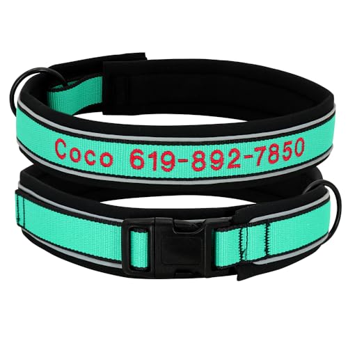 SARUEL Personalisiertes Hundehalsband Aus Reflektierendem Nylon,Individuelles ID-Namenszubehör,Gepolsterte Haustierhalsbänder Für Kleine,Mittelgroße Und Große Hunde,M,Grün SARUEL Personalisiertes Hundehalsband Aus Reflektierendem Nylon,Individuelles ID-Namenszubehör,Gepolsterte Haustierhalsbänder Für Kleine,Mittelgroße Und Große Hunde,M,Grün von SARUEL