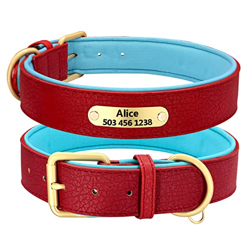 SARUEL Personalisiertes Hundehalsband Benutzerdefinierte Hundehalsbänder Inneres Gepolstertes Haustier-ID-Halsband Für Kleine Mittelgroße Hunde Pitbull Bulldog,Rot,XXL SARUEL Personalisiertes Hundehalsband Benutzerdefinierte Hundehalsbänder Inneres Gepolstertes Haustier-ID-Halsband Für Kleine Mittelgroße Hunde Pitbull Bulldog,Rot,XXL von SARUEL
