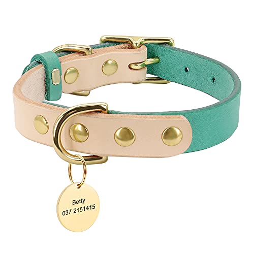 SARUEL Personalisiertes Hundehalsband Für Hunde Und Katzen,Personalisiertes Leder-Hundehalsband,Hundenamen-ID-Tags Für Kleine Mittelgroße Hunde,Chihuahua,Yorkshire,Grün,M von SARUEL