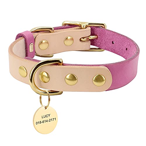 SARUEL Personalisiertes Hundehalsband Für Hunde Und Katzen,Personalisiertes Leder-Hundehalsband,Hundenamen-ID-Tags Für Kleine Mittelgroße Hunde,Chihuahua,Yorkshire,Rose,M von SARUEL