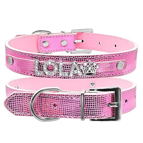 SARUEL Personalisiertes Hundehalsband Für Katzen Und Hunde Mit Individuellem Namen Für Kleine,Mittelgroße Und Große Hunde,SW-Rosa,M von SARUEL