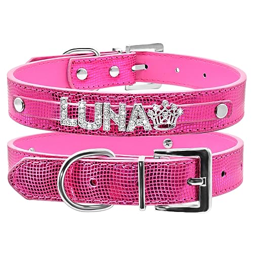 SARUEL Personalisiertes Hundehalsband Für Katzen Und Hunde Mit Individuellem Namen Für Kleine,Mittelgroße Und Große Hunde,SW-Rose Rot,M SARUEL Personalisiertes Hundehalsband Für Katzen Und Hunde Mit Individuellem Namen Für Kleine,Mittelgroße Und Große Hunde,SW-Rose Rot,M von SARUEL