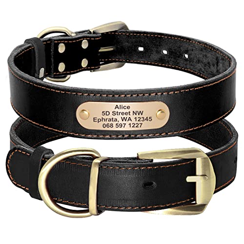 SARUEL Personalisiertes Hundehalsband Für Kleine Mittelgroße Hunde Pitbull Personalisiertes ID-Halsband Mit Namensschild,Schwarz,XL von SARUEL