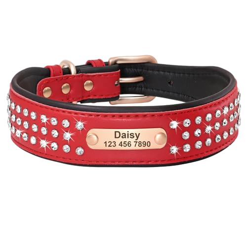 SARUEL Personalisiertes Hundehalsband Für Mittelgroße Und Große Hunde,Französische Bulldogge,Pitbull,Haustier,Welpe,Namensschild,ID-Tag-Halsbänder,Rosa,M,Rot SARUEL Personalisiertes Hundehalsband Für Mittelgroße Und Große Hunde,Französische Bulldogge,Pitbull,Haustier,Welpe,Namensschild,ID-Tag-Halsbänder,Rosa,M,Rot von SARUEL