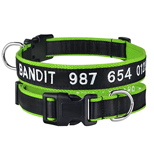 SARUEL Personalisiertes Hundehalsband Haustierhalsbänder Verstellbares Welpen-Namensschild ID-Halsband Klein Mittel Groß Nylon Benutzerdefinierte Reine Baumwolle,Grün,L SARUEL Personalisiertes Hundehalsband Haustierhalsbänder Verstellbares Welpen-Namensschild ID-Halsband Klein Mittel Groß Nylon Benutzerdefinierte Reine Baumwolle,Grün,L von SARUEL