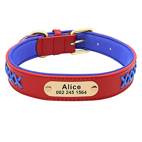 SARUEL Personalisiertes Hundehalsband Mit Namensschild,Geflochtenes,Gepolstertes Halsband Für Französische Bulldoggen Für Kleine,Mittelgroße Und Große Hunde,Rot,2XL SARUEL Personalisiertes Hundehalsband Mit Namensschild,Geflochtenes,Gepolstertes Halsband Für Französische Bulldoggen Für Kleine,Mittelgroße Und Große Hunde,Rot,2XL von SARUEL