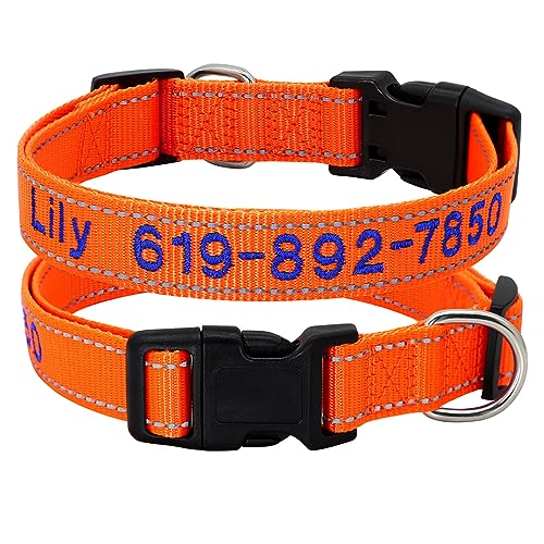 SARUEL Personalisiertes Hundehalsband Name Nylon Hundehalsband Halskette Anti-verloren Für Kleine Große Hunde Mops Verstellbar,Orange,25-40cm von SARUEL