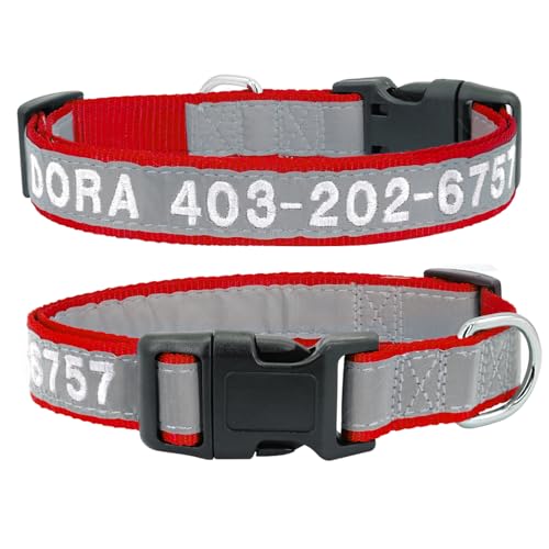 SARUEL Personalisiertes Hundehalsband Personalisiertes Haustier-Welpen-Katzenhalsband Gravieren Sie Den Telefonnamen Halsbänder Für Kleine,Mittelgroße Und Große Hunde,Rot,M SARUEL Personalisiertes Hundehalsband Personalisiertes Haustier-Welpen-Katzenhalsband Gravieren Sie Den Telefonnamen Halsbänder Für Kleine,Mittelgroße Und Große Hunde,Rot,M von SARUEL