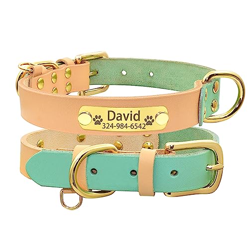 SARUEL Personalisiertes Hundenamenshalsband Für Kleine Hunde. Benutzerdefiniertes Graviertes Namensschild,Hellgrün,M von SARUEL