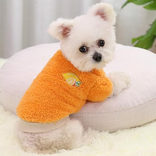 SARUEL Plüsch-Haustier-Winterkleidung,Niedliches Fruchtmuster,Verdickte Warme Hundeweste Für Kleine Und Mittelgroße Hunde,Weiche Winter-Welpenjacke,Teddy-Kostüm,Orange,XL von SARUEL